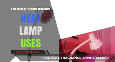 Unveiling the Power Consumption: Fragrance Heat Lamp's Electricity Usage