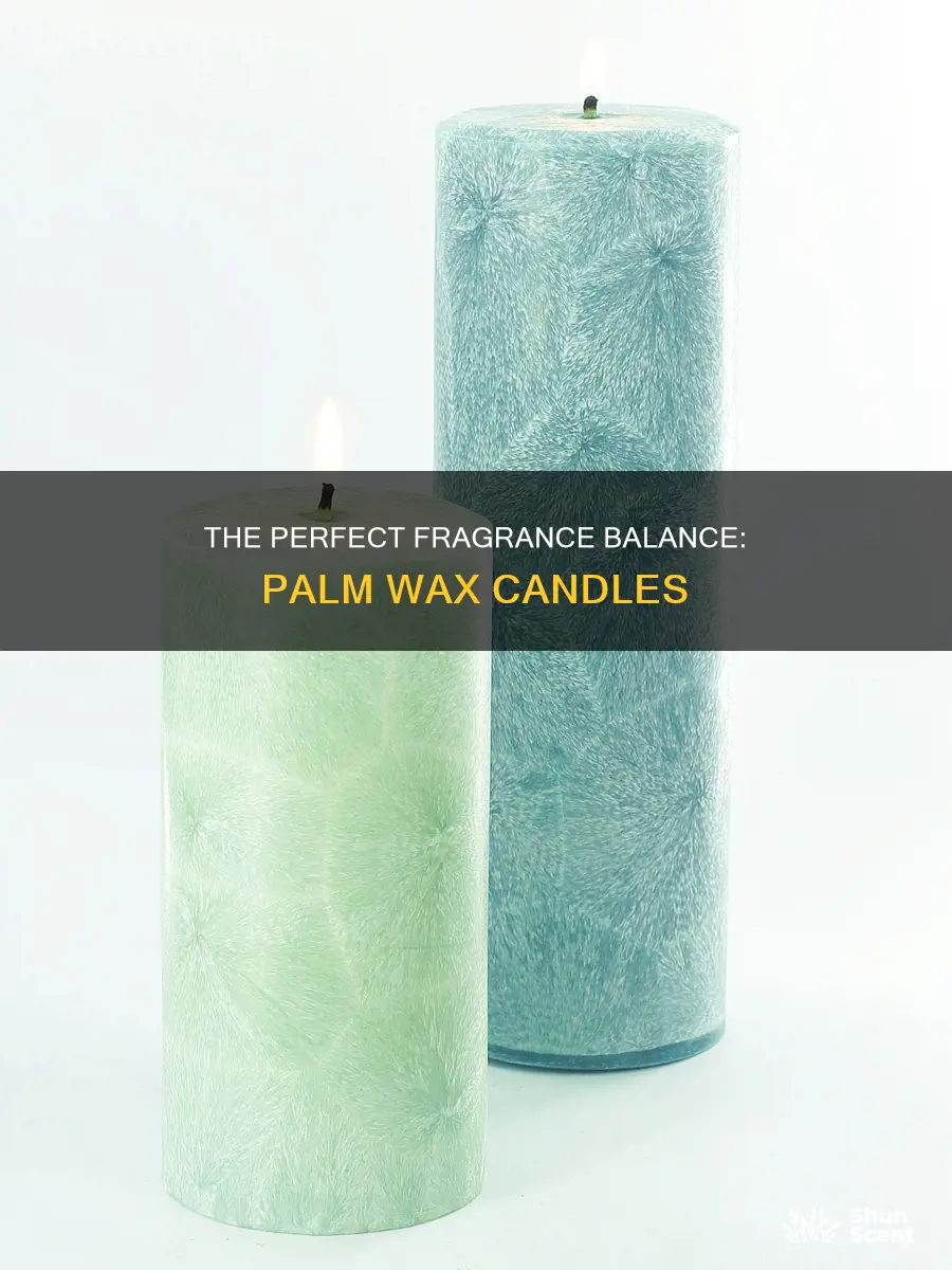 how much fragrance do you add to palm wax candle