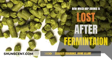 Hop Aroma Retention: Post-Fermentation Loss and Preservation Techniques