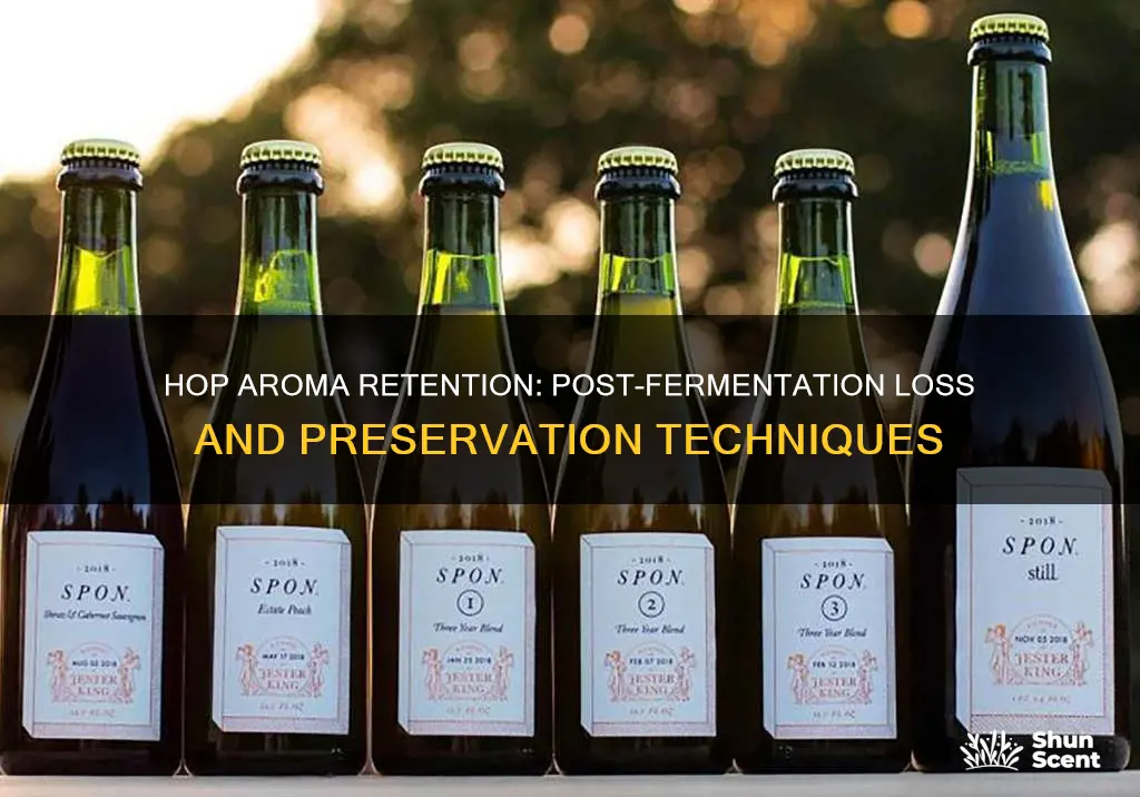 how much hop aroma is lost after fermintaion