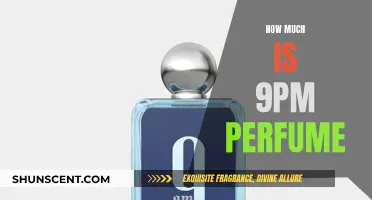 The Cost of 9PM Perfume: Is It Worth It?