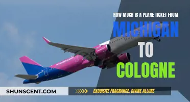 Michigan to Cologne: Affordable Airfare Secrets Revealed