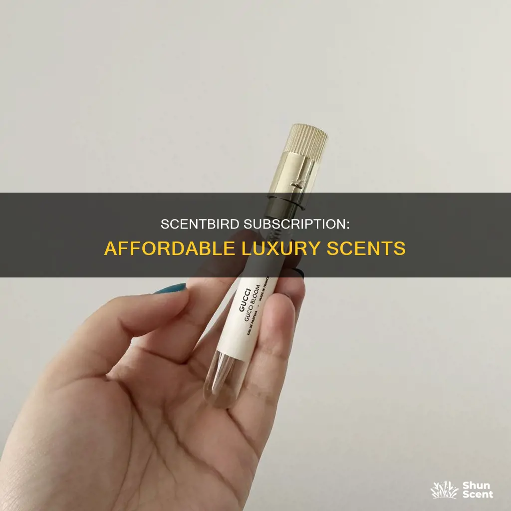 how much is a scentbird subscription