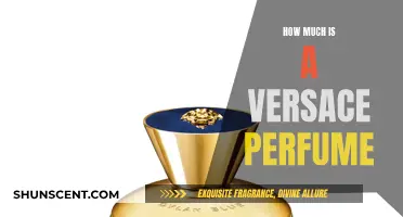 Versace Perfumes: Price and Value