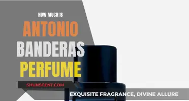 Antonio Banderas Perfume: How Much Does it Cost?