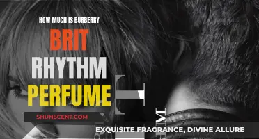 Burberry Brit Rhythm: A Fragrance Worth the Price?