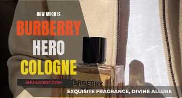 The Alluring Scent of Burberry Hero: Price and Review