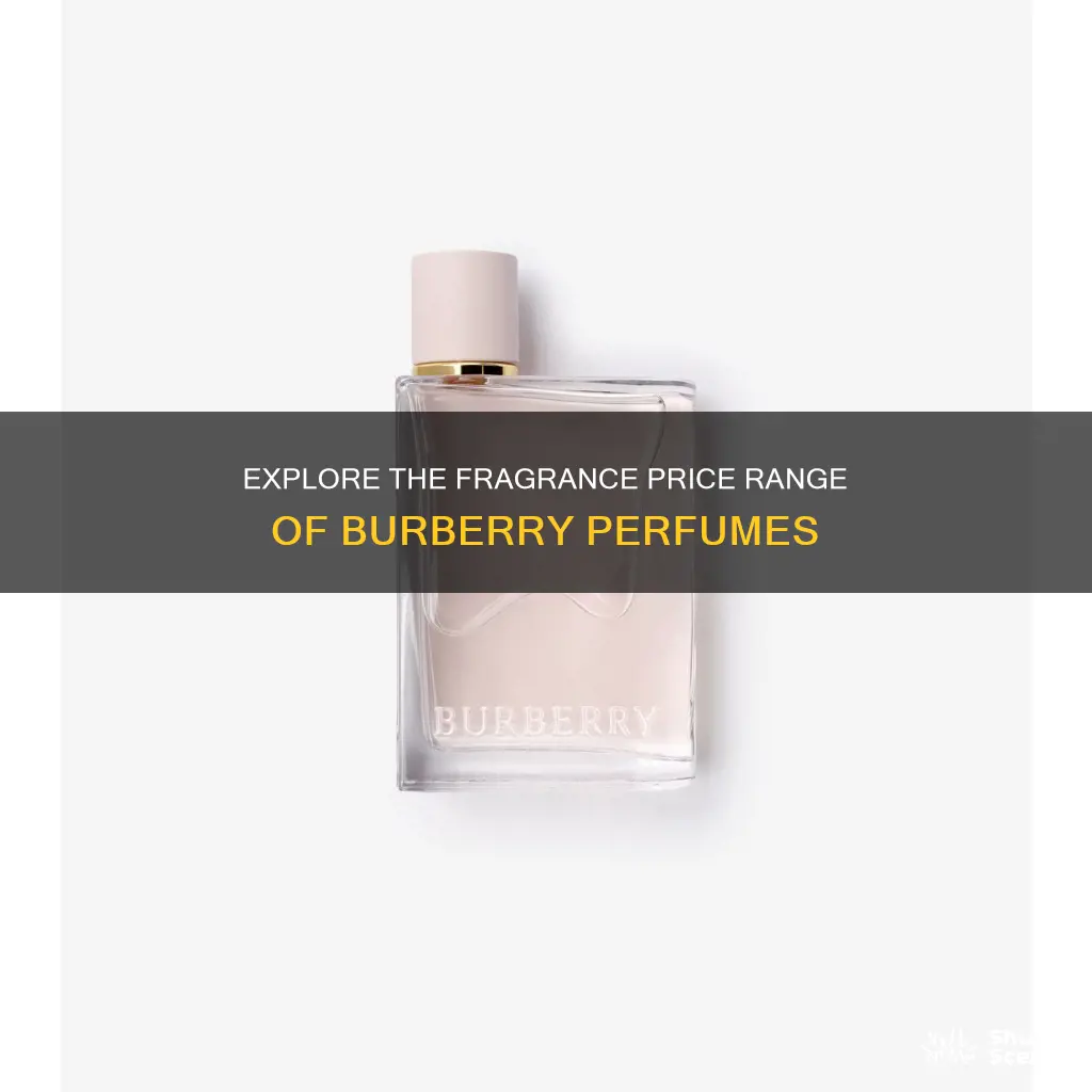 how much is burberry perfume