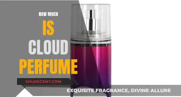 The Cloud Perfume: Is It Worth the Price?