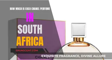 Chanel Perfume Prices in South Africa: A Guide