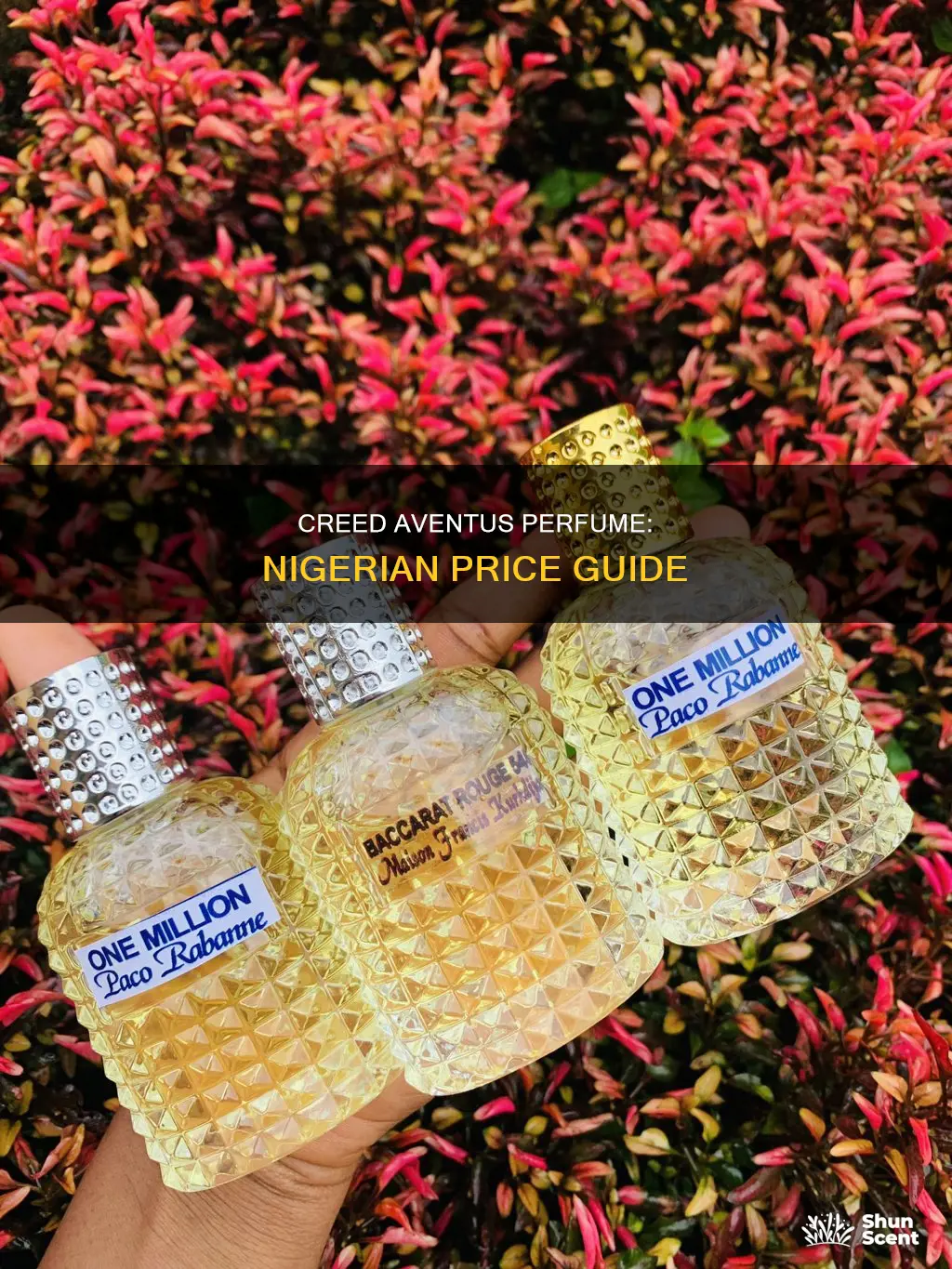 how much is creed aventus perfume in nigeria