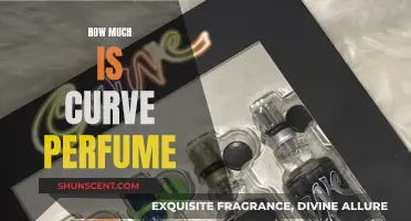 Curve Perfume: How Much Does It Cost?