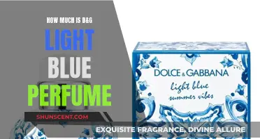 D&G Light Blue Perfume: Price and Scent Notes