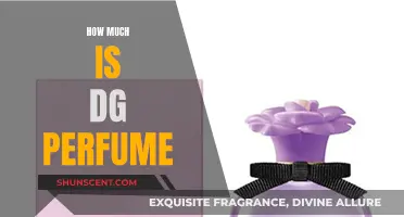 DG Perfumes: How Much Do They Cost?