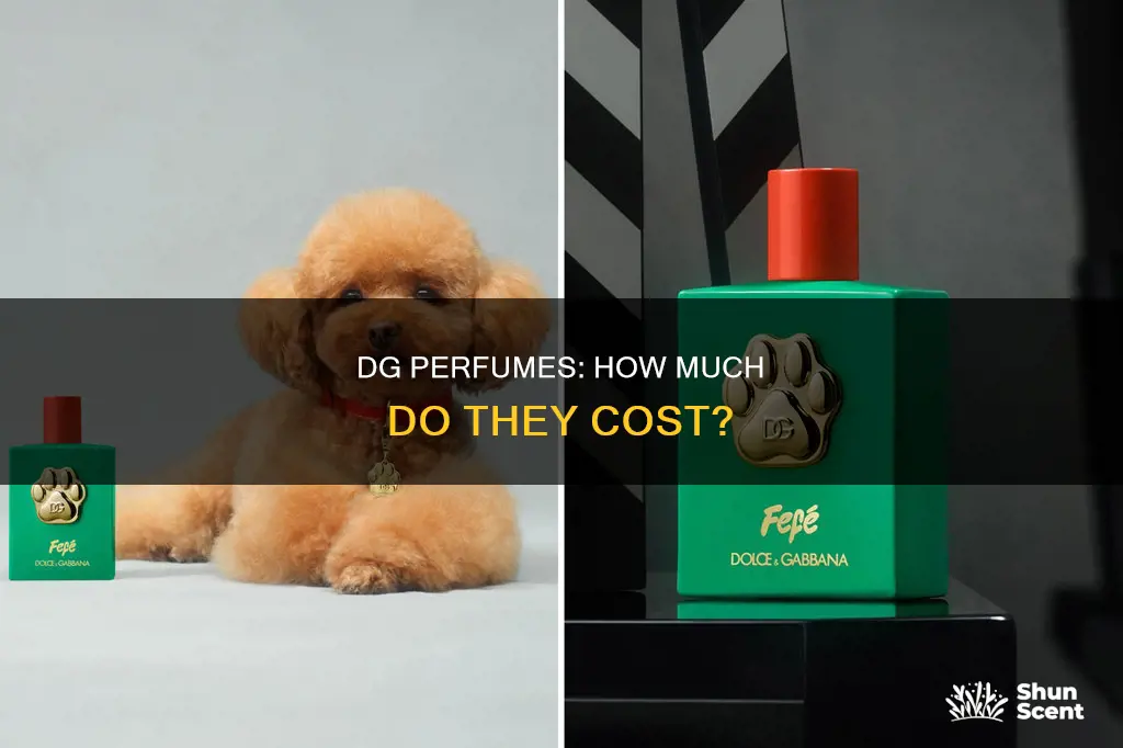 how much is dg perfume