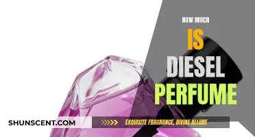 Explore the Fragrance of Diesel Perfumes and Their Cost