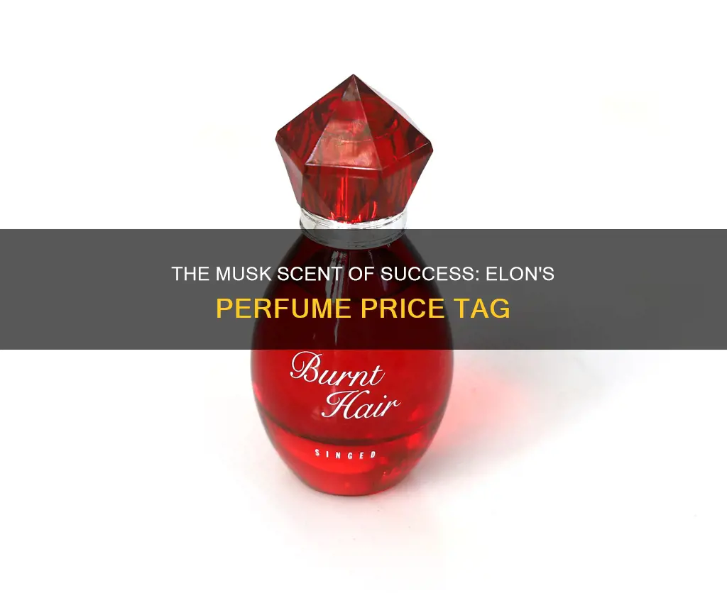 how much is elon musk perfume