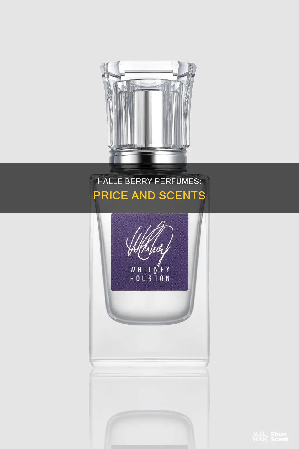 how much is halle berry perfume
