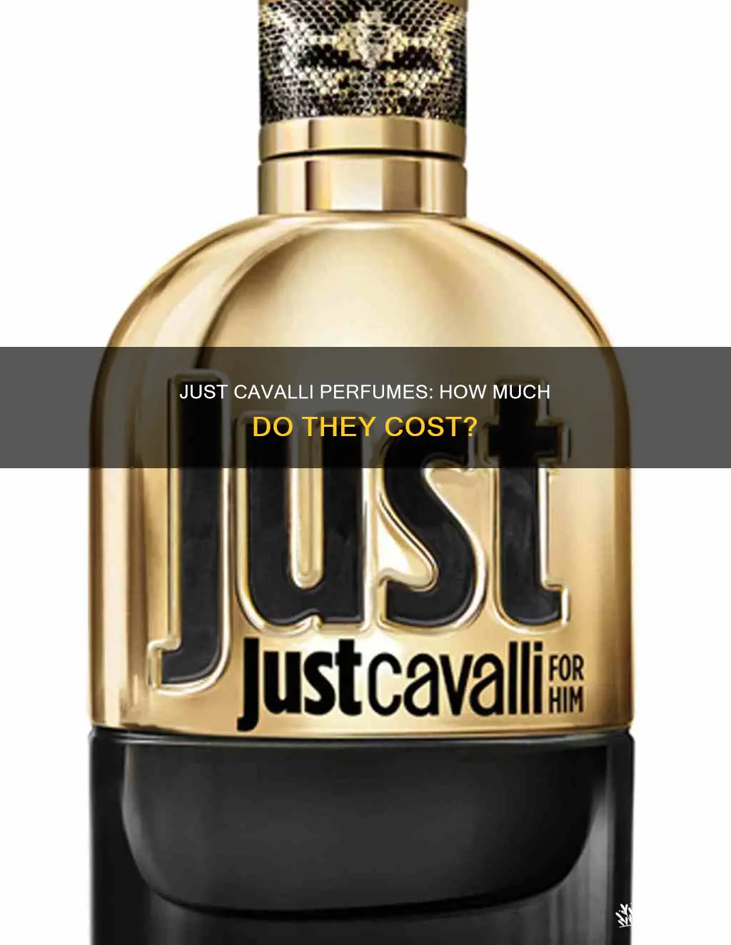 how much is just cavalli perfume
