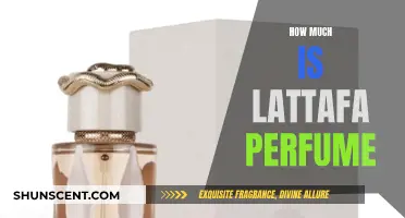 Explore the Affordable Lattafa Perfumes