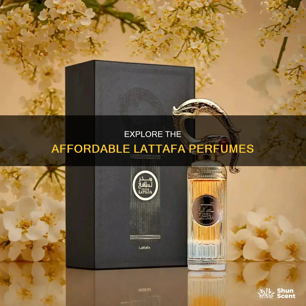 how much is lattafa perfume