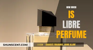 Libre Perfume: Price and Value Analysis