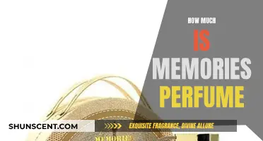 The Cost of Capturing Memories in a Bottle