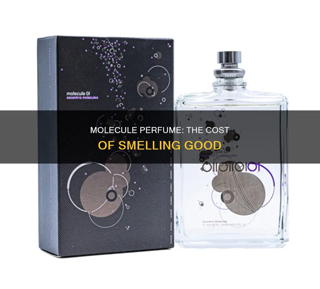 how much is molecule perfume