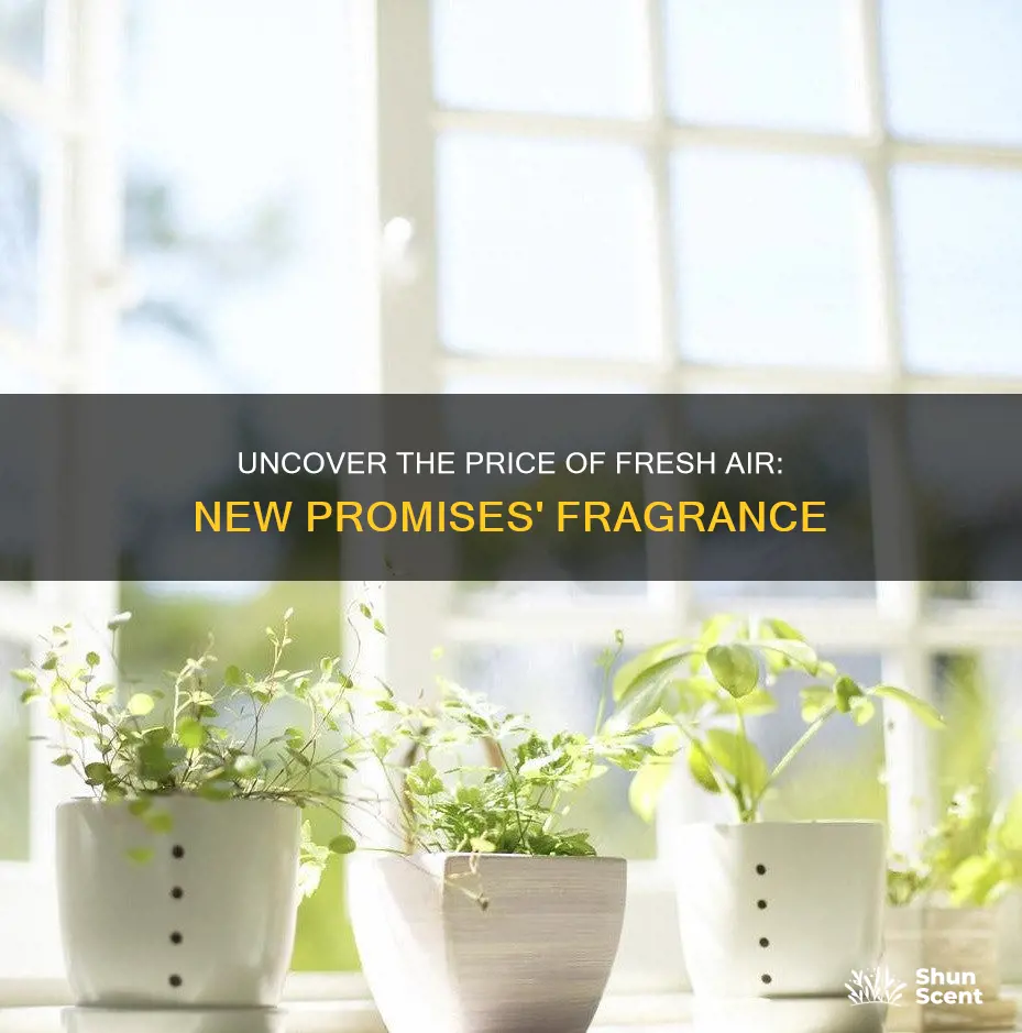 how much is new promises fresh air fragrance