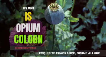 The Cost of Opium Cologn: An Expensive Fragrance