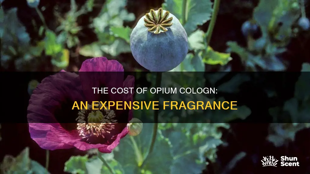 how much is opium cologn