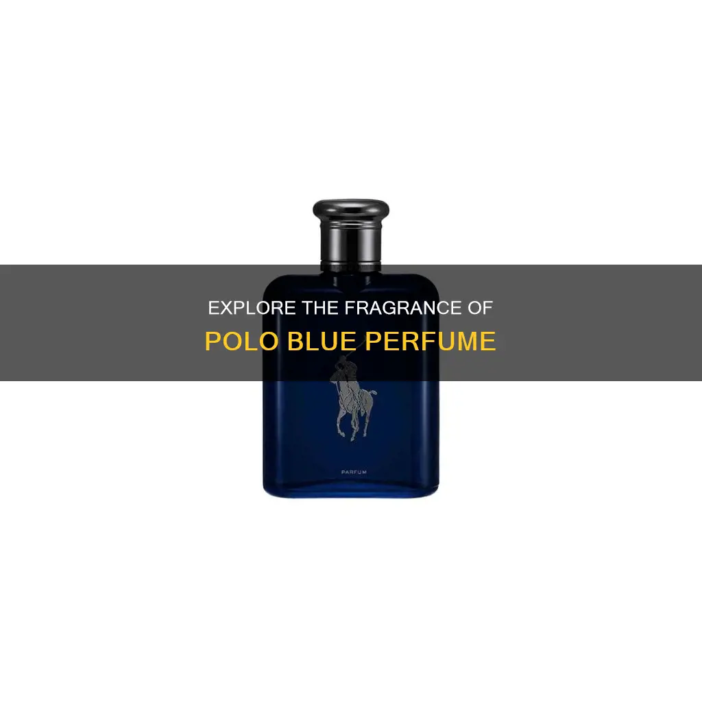how much is polo blue perfume