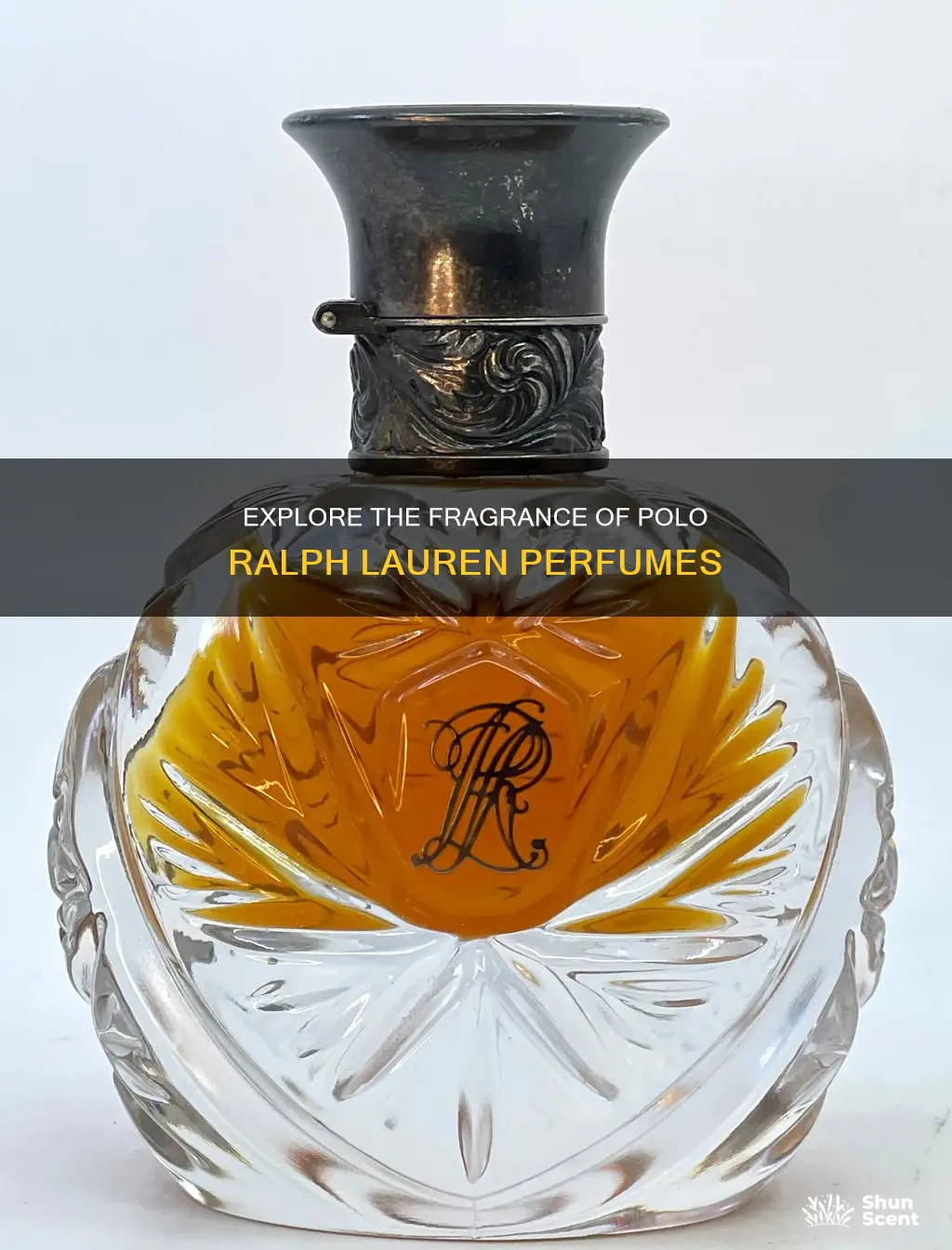 how much is polo ralph lauren perfume
