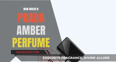The Alluring Scent of Prada Amber: How Much Does it Cost?