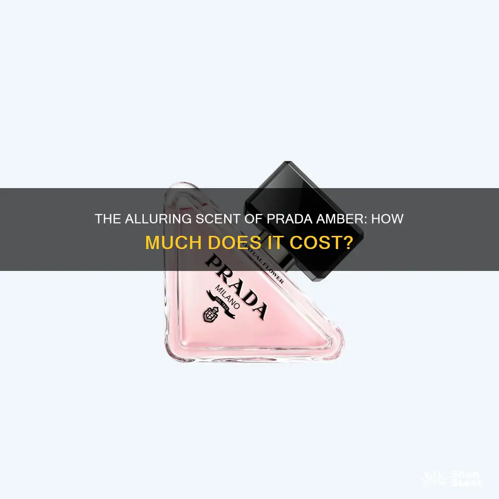 how much is prada amber perfume