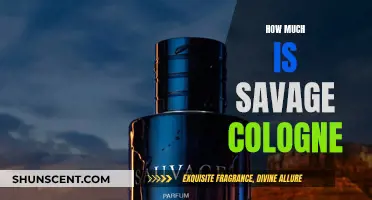 Savage Cologne: Is It Worth the Price?