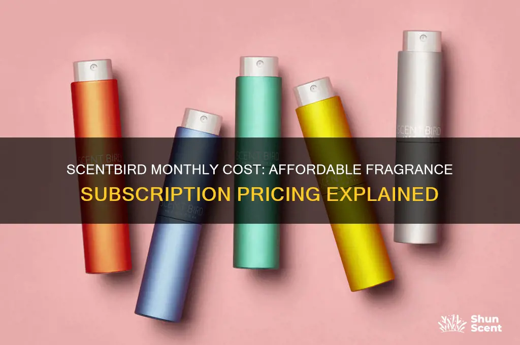 how much is scent bird a month