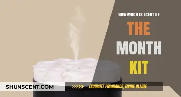 Discover the Affordable Scent of the Month Kit Price Guide