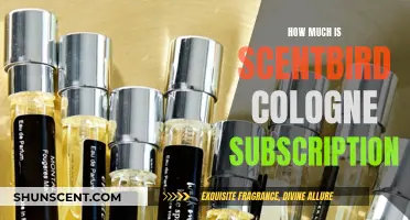 Scentbird Cologne Subscription: Is It Worth the Cost?