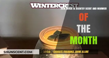 Discover Scentsy's Monthly Scent & Warmer: Price and Value
