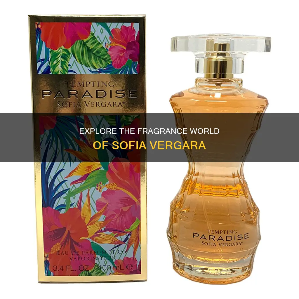how much is sofia vergara perfume