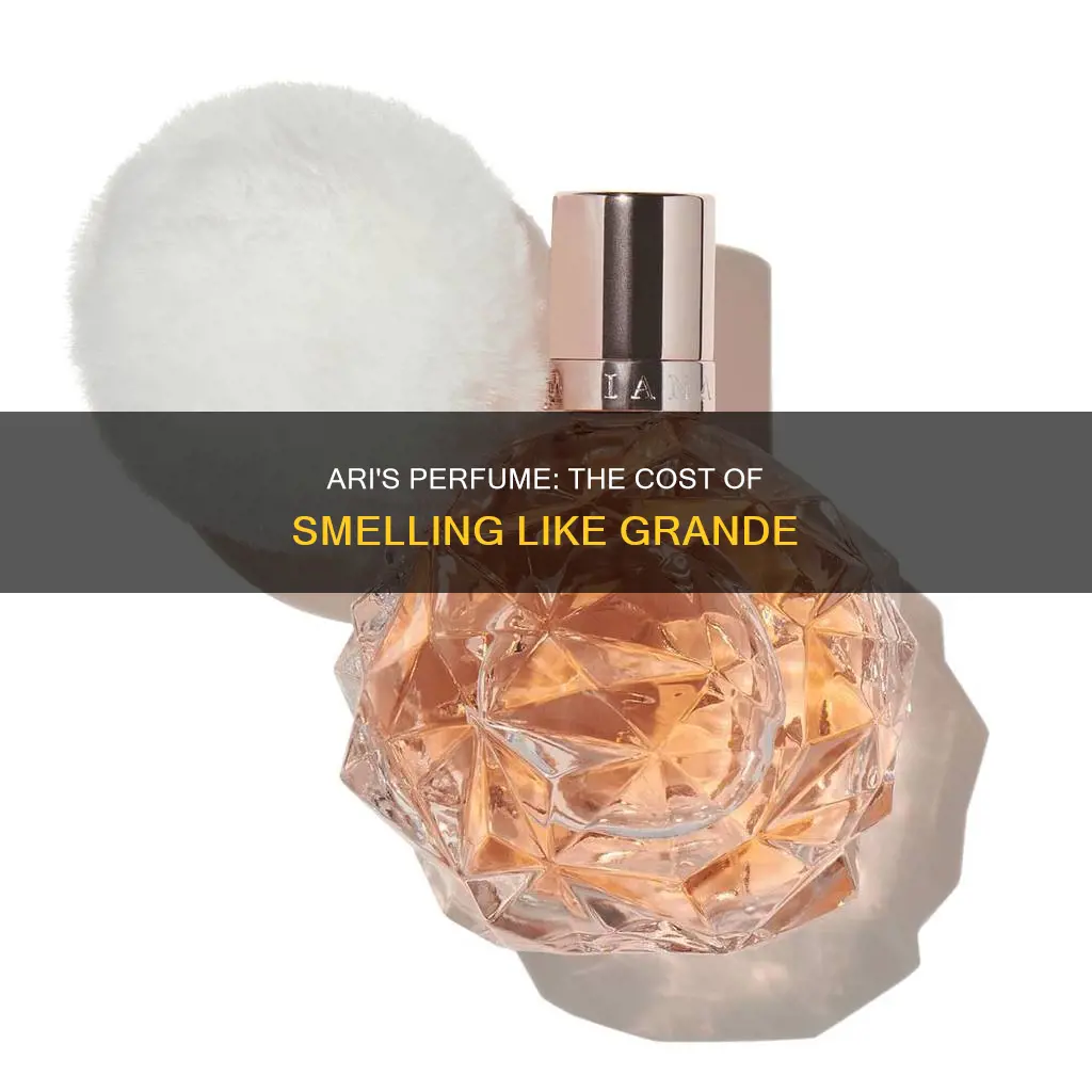 how much is the ari perfume