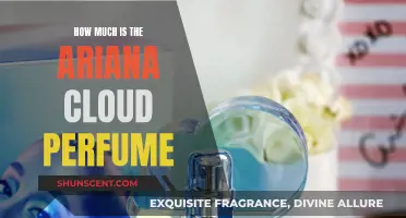 Ariana Cloud Perfume: Is It Worth the Price?