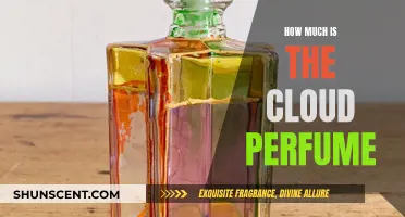 The Cloud Perfume: How Much Does It Cost?