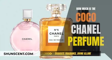 The Cost of Chanel's Iconic Fragrance