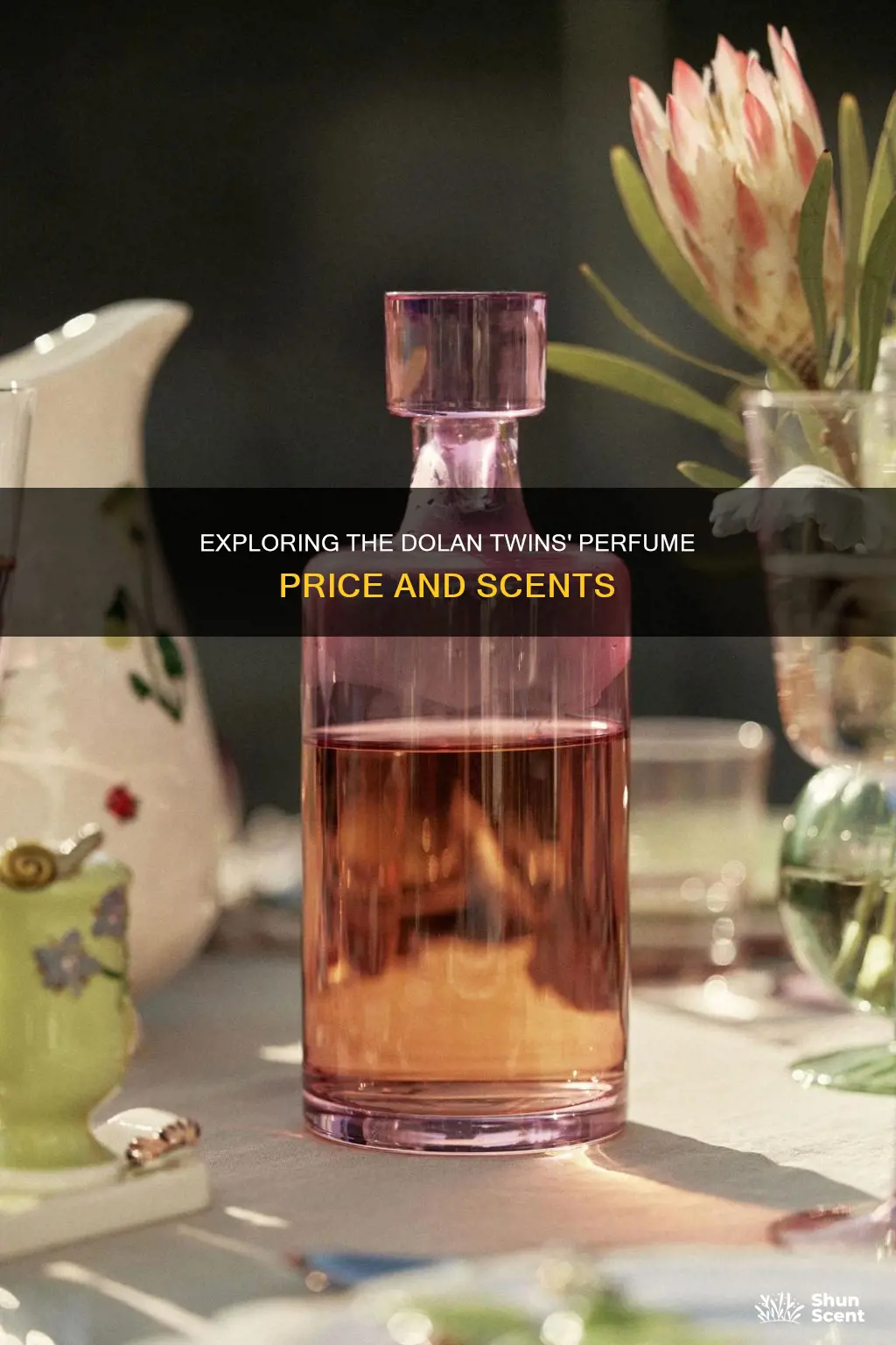 how much is the dolan twins perfume