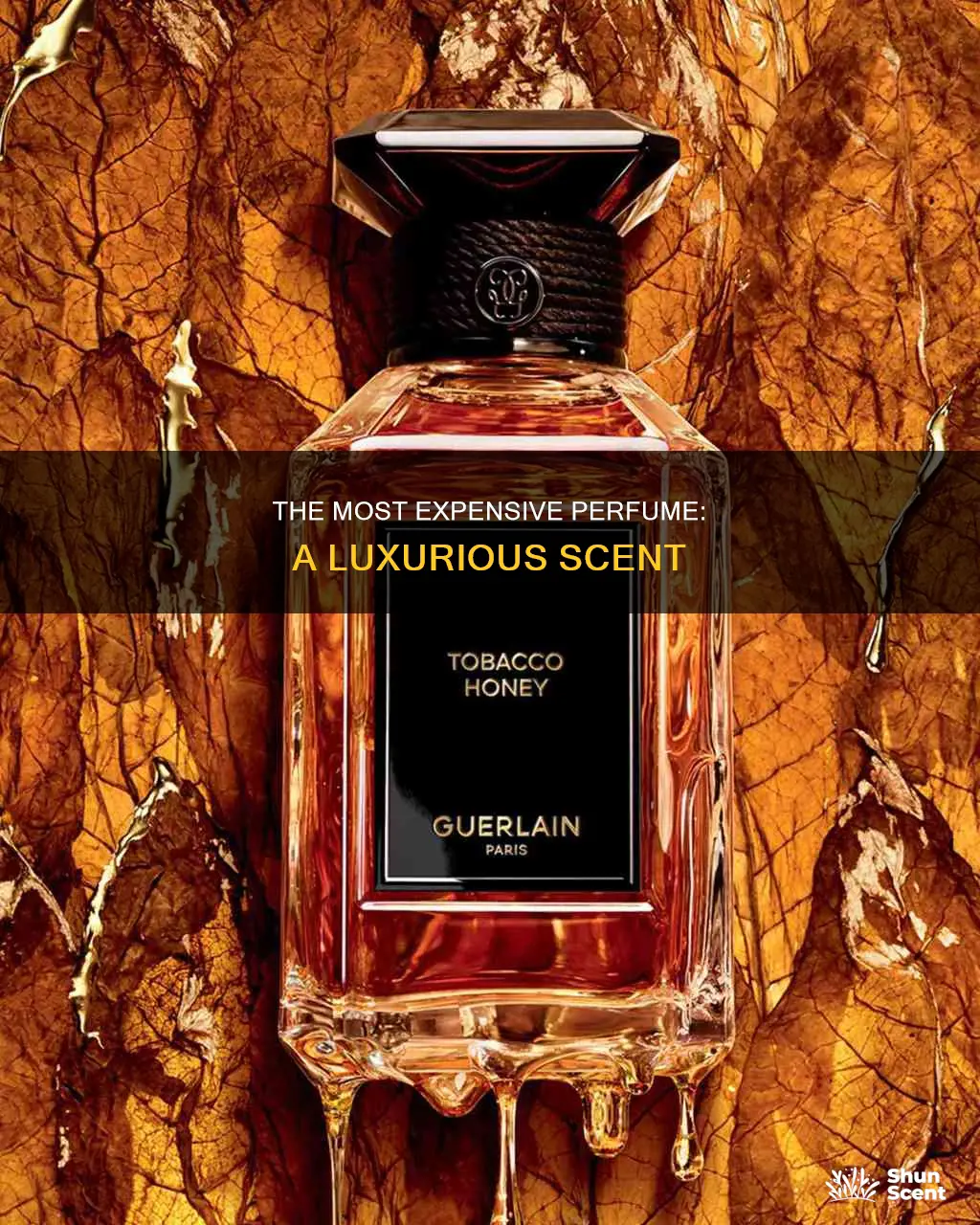 how much is the most expensive perfume