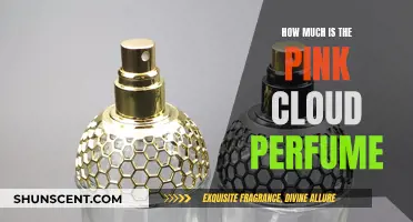 The Price of Pink Cloud Perfume: Is It Worth It?