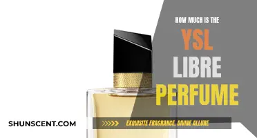 The Price of YSL Libre: Is It Worth It?