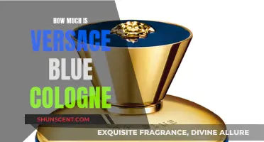 The Allure of Versace Blue: A Priceless Fragrance